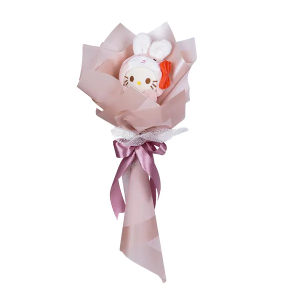 بوکت عروسکی کیتی