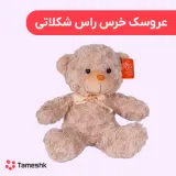 عروسک خرس راس شکلاتی