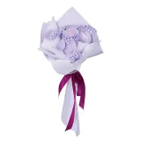 بوکت عروسک خرگوش jelly cat