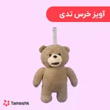 آویز خرس تدی