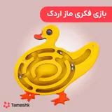 بازی فکری ماز اردک