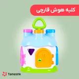 کلبه هوش قارچی