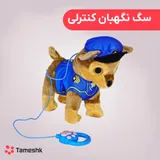 سگ نگهبان کنترلی