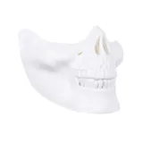 ماسک فک اسکلت