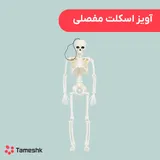آویز اسکلت مفصلی