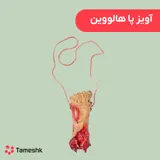 آویز پا هالووین