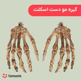گیره مو دست اسکلت