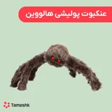 عنکبوت پولیشی هالووین