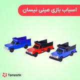 پک مینی نیسان