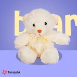عروسک خرس راس نباتی در پس زمینه آبی از رو به رو