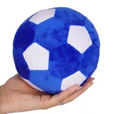 توپ فوتبال پولیشی آبی