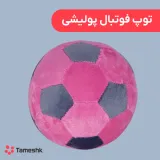 توپ پولیشی