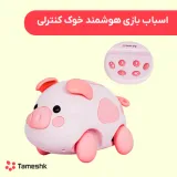 اسباب بازی هوشمند خوک کنترلی