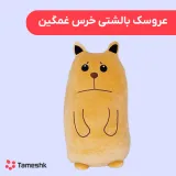 عروسک بالشتی خرس غمگین قهوه ای