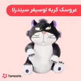 عروسک گربه لوسیفر سیندرلا