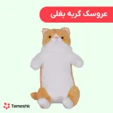 عروسک گربه بغلی