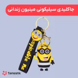 جاکلیدی سیلیکونی مینیون زندانی