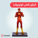 فیگور فلش کوتوبوکیا