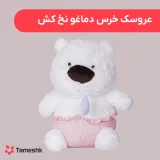 عروسک خرس دماغو نخ کش