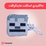 جاکلیدی اسکلت ماینکرافت