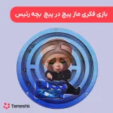 بازی فکری ماز پیپ در پیچ بچه رئیس