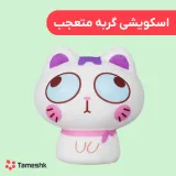 اسکویشی گربه متعجب