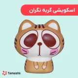 اسکویشی گربه نگران