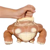 گوریل شنی بدشانس آقا مرتضی
