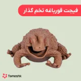 فیجت قورباغه تخم گذار