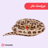 عروسک مار