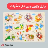 پازل چوبی پین دار حشرات