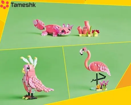 ساختنی لگو چند طرح