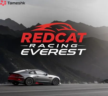 ماشین کنترلی صخره نورد